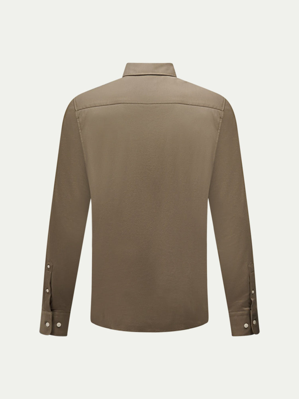 Sea Turtle Jersey Hidden-Button Shirt for Casual Wear