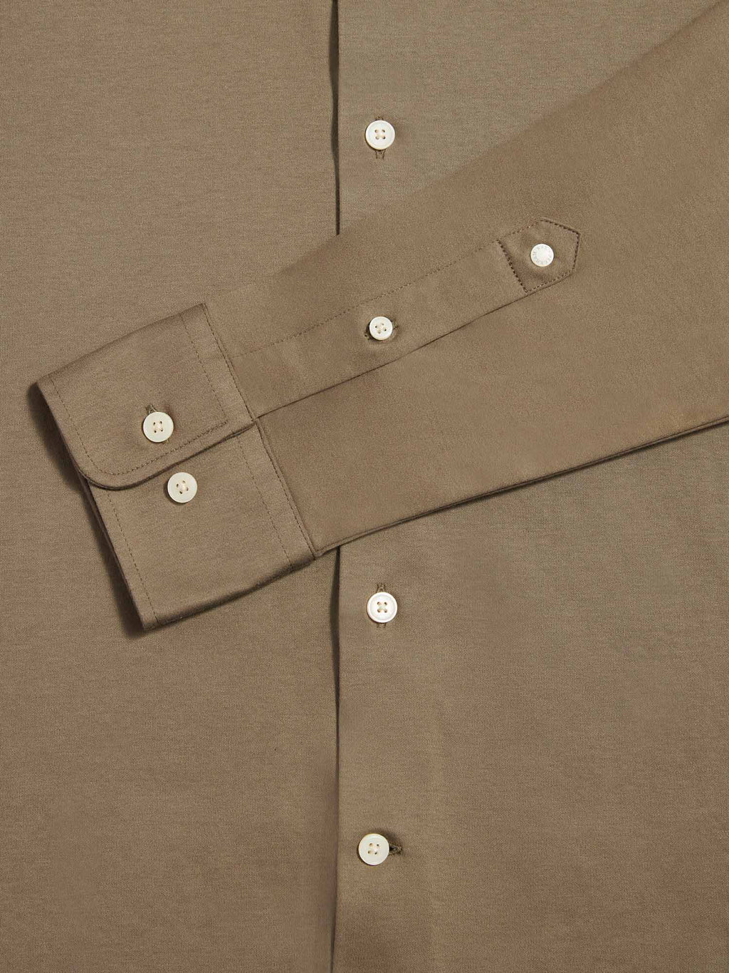 Sea Turtle Jersey Hidden-Button Shirt for Casual Wear